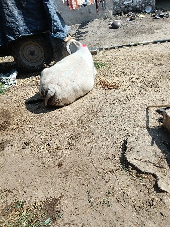 थंबनेल 3