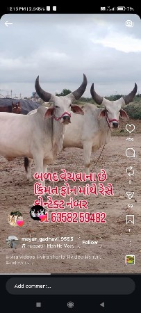 લેવાની ગણતરી હોત તો જ ફોન કરું