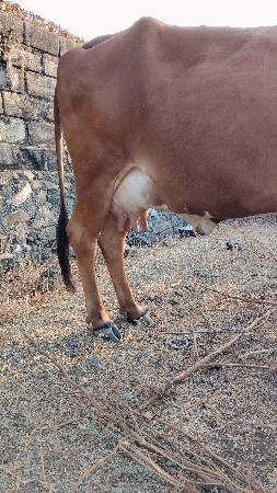 थंबनेल 2