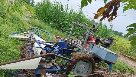 थंबनेल 3