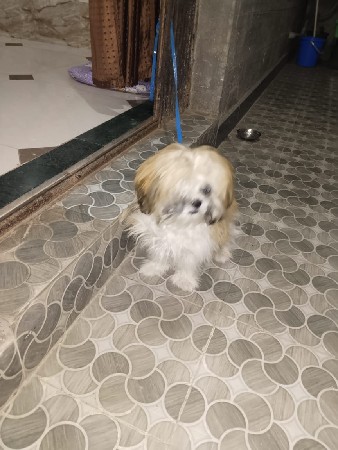 थंबनेल 3