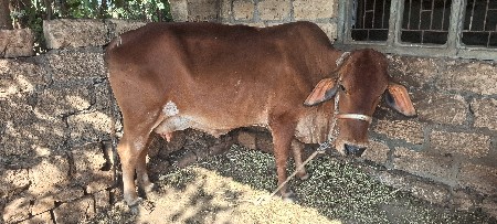 थंबनेल 2