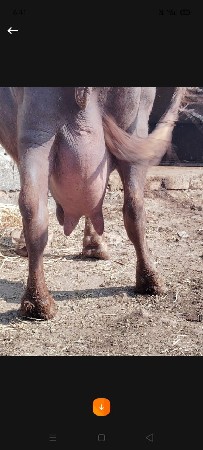 थंबनेल 2