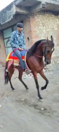 थंबनेल 3