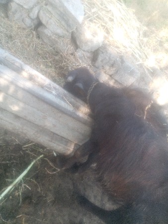 थंबनेल 3