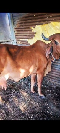 थंबनेल 3