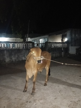 थंबनेल 2