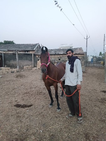 थंबनेल 3