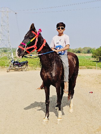 godi 6 mahina subhar 60 hegth