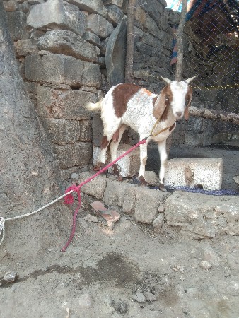 थंबनेल 2