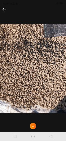 જી 20 માંડવી વેચવાનો છે