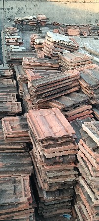 નરિયા વેશવાનાછે.