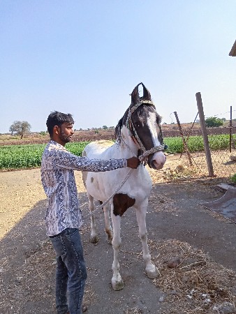 थंबनेल 2