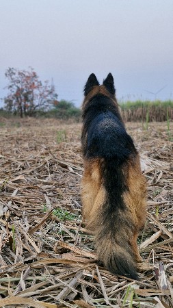 થંબનેલ 3