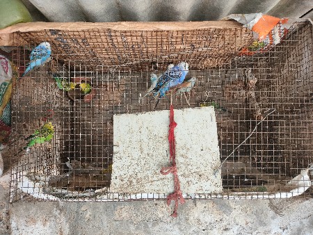 थंबनेल 2