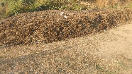 દેસી‌ ખાતર