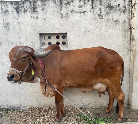 थंबनेल 3