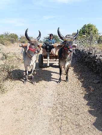 थंबनेल 2