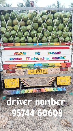 નારિયેળ માટે કોન્ટેક્ટ કરો