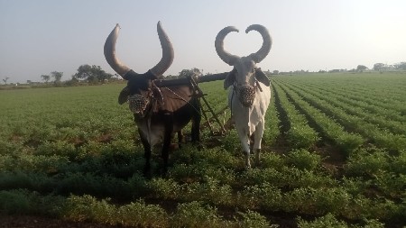 વેંચવા ના છે