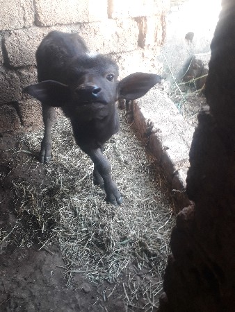 थंबनेल 3