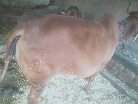 थंबनेल 3