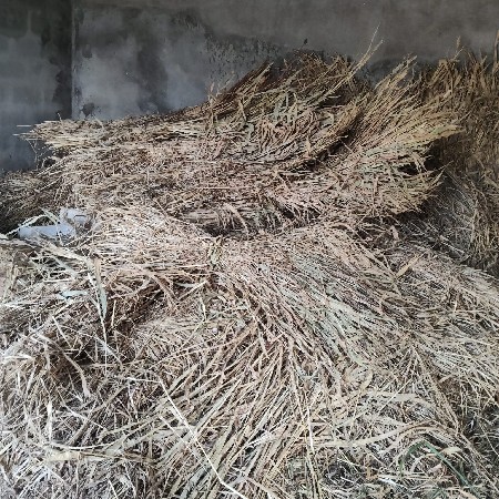 સાર વેચવાની છે