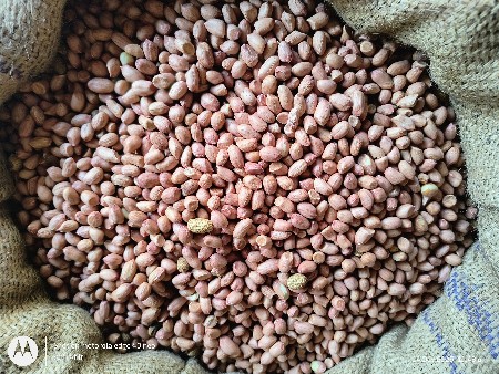 માંડવી બાવીસ નંબર વેચવાની સે