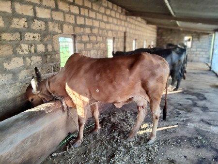 थंबनेल 3