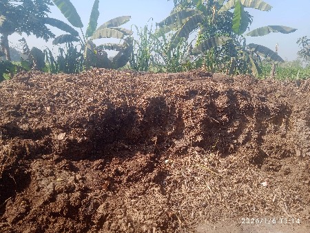 સાણીયુ ખાતર