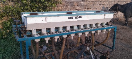 7 પાટલિ છે 9 દાતા છે