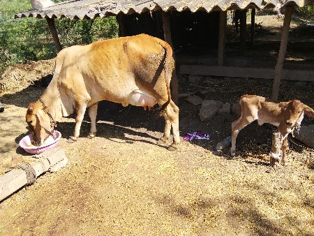 थंबनेल 4