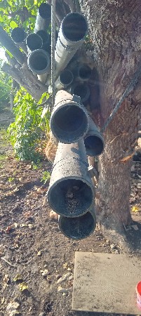 ટપકનીલાઈનબીજોબોરનોબબોહેવીબેનો