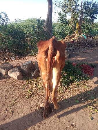 थंबनेल 3