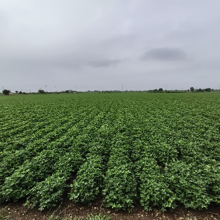 थंबनेल 3