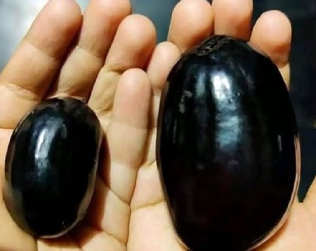 થંબનેલ 5