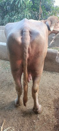 थंबनेल 4