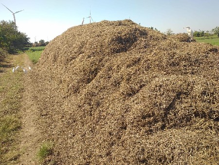 માડવી નો ભુકો વેચવાનો છે