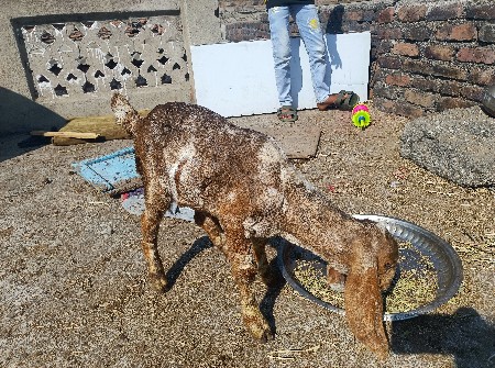 થંબનેલ 2