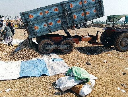 વિશ્વાસ નું ગાડું