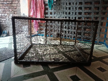 kabutar nu pinjru પીંજરું