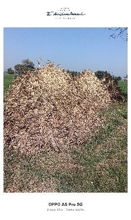 નીરણ વેચવાની છે