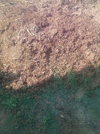 દેશી ખાતર વેચવાનું છે આતરોલી