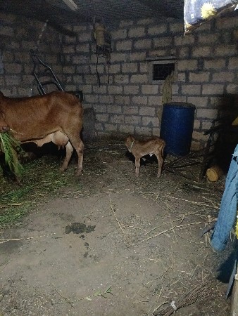 थंबनेल 3