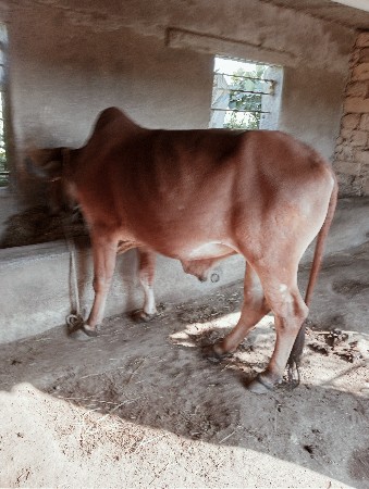 थंबनेल 3