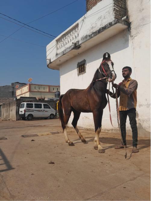 थंबनेल 2