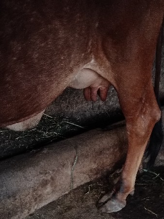 थंबनेल 3