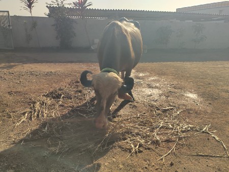 थंबनेल 3