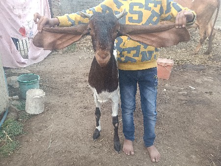 थंबनेल 3