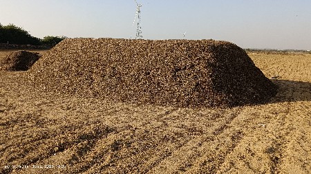 કોરો ભુકો વેચવાનો છે